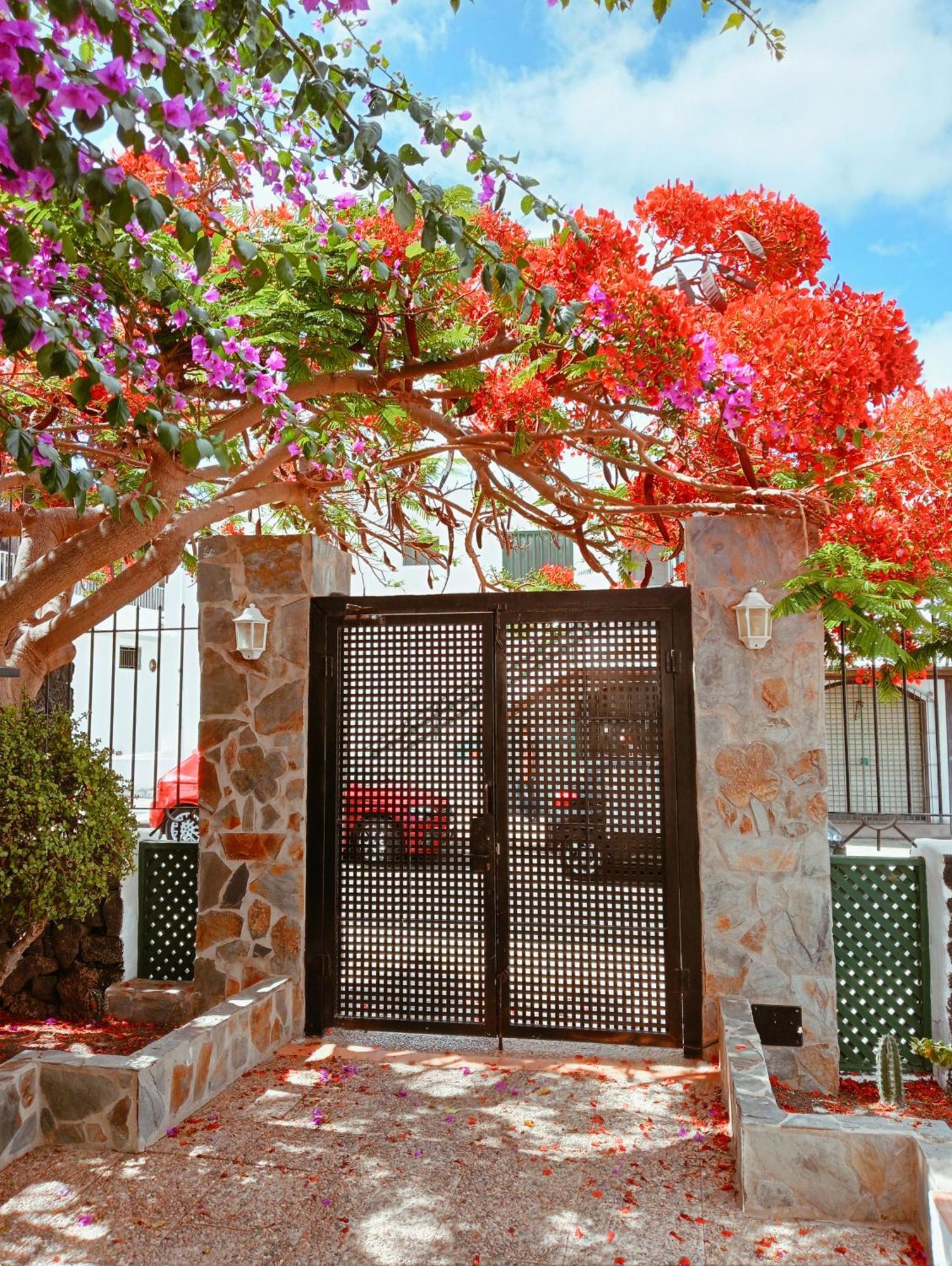 Apartamentos Las Acacias Puerto del Carmen  Exteriör bild